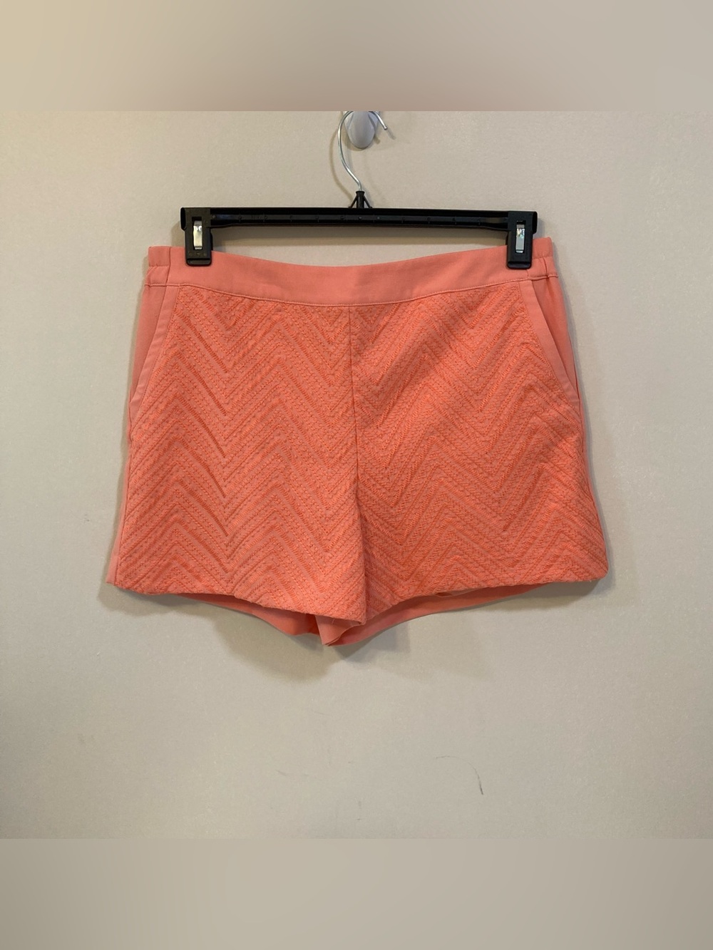 Skies Are Blue Lined Embroidered Shorts Sz L Womens Coral Pockets